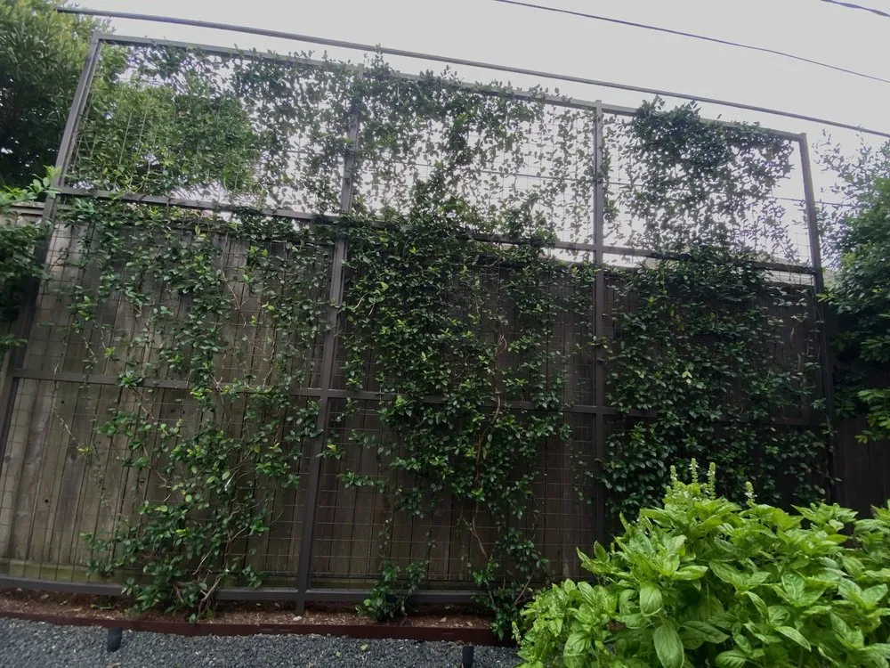 Expert landscape design in Houston, TX - MJ Landscaping