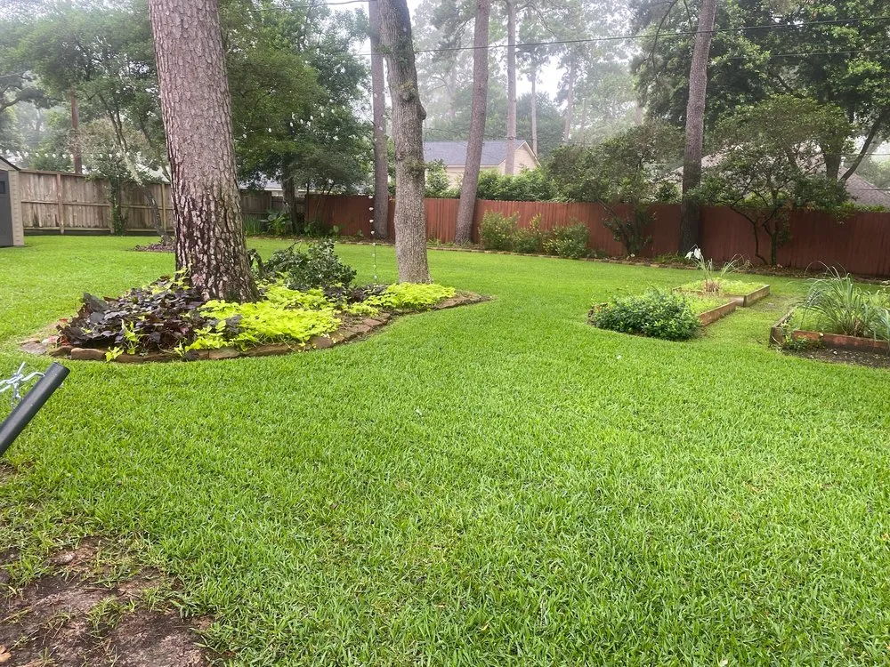 Professional outdoor landscaping with custom design in Houston, TX by MJ Landscaping