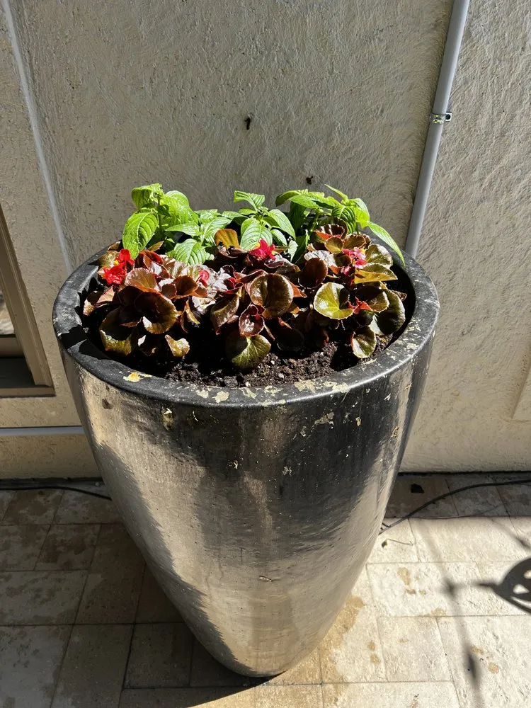 Custom garden landscaping experts serving Houston, TX - MJ Landscaping