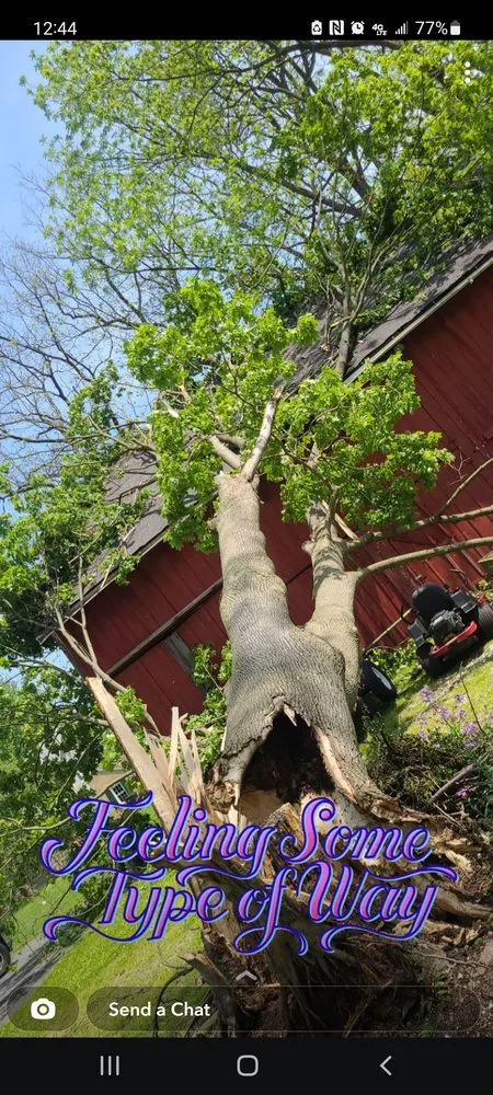 Affordable lawn mowing service experts serving Manheim, PA - MJ Landscaping