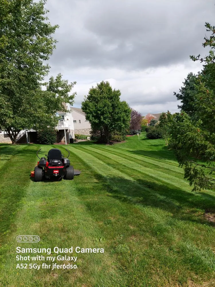 Expert landscape design for beautiful yards across Manheim, PA - MJ Landscaping