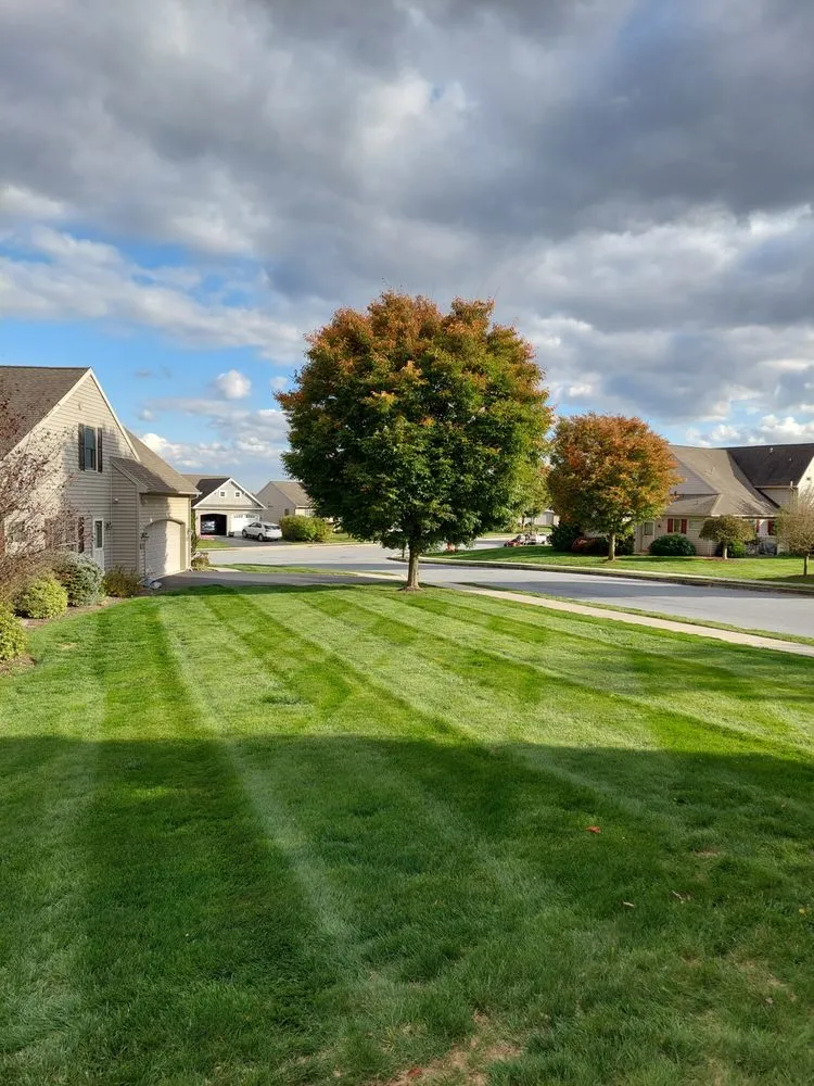 Custom residential landscaping in Manheim, PA - MJ Landscaping