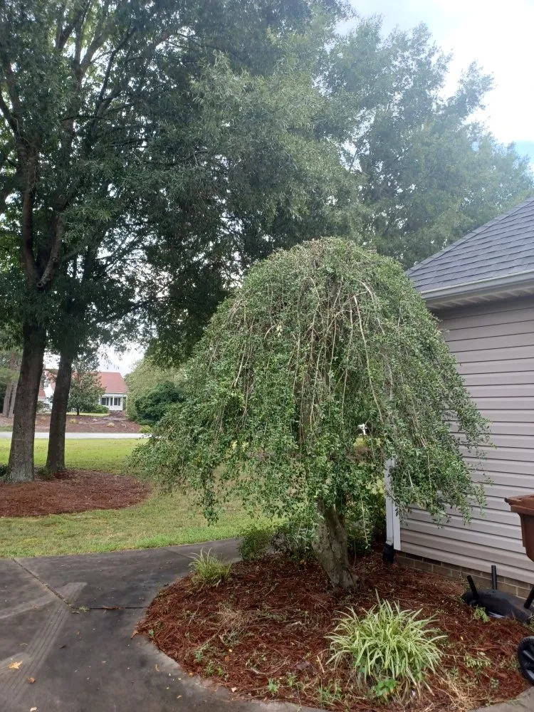 Reliable residential landscaping in McLeansville, NC by Mj Landscaping