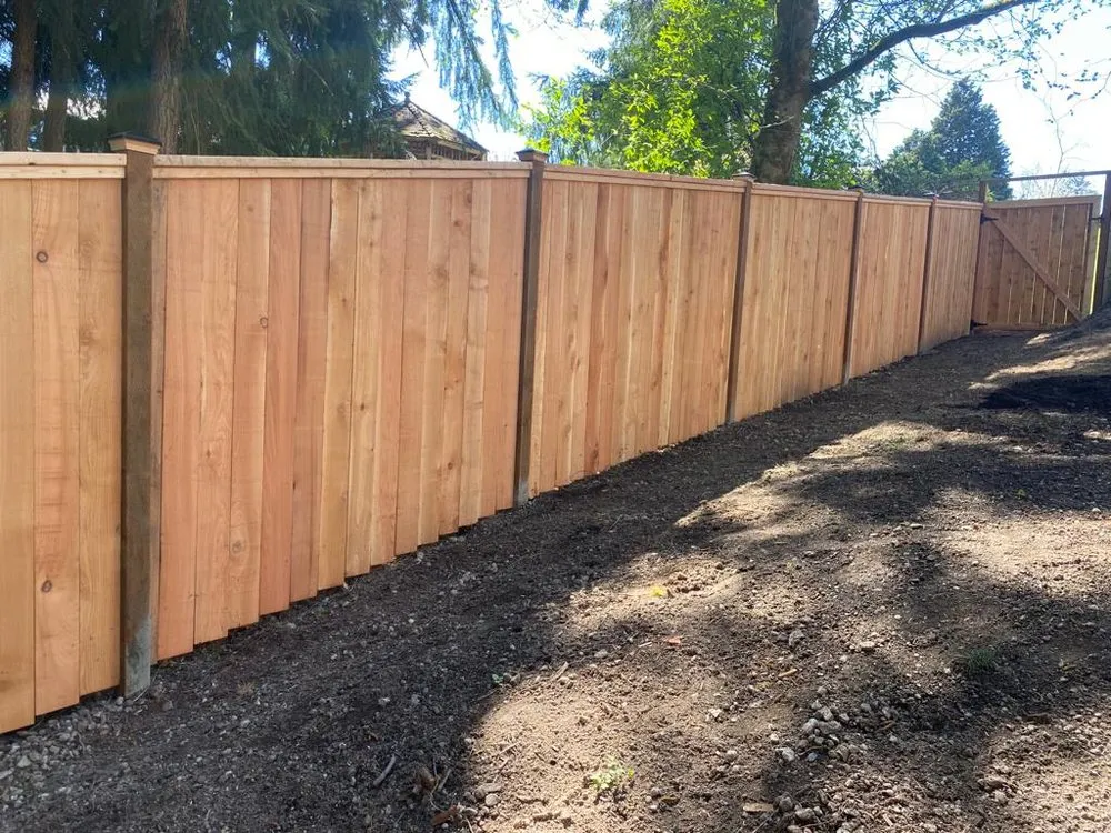 Expert yard cleanup service for outdoor upgrades in Monroe, WA by MJ Landscaping Plus