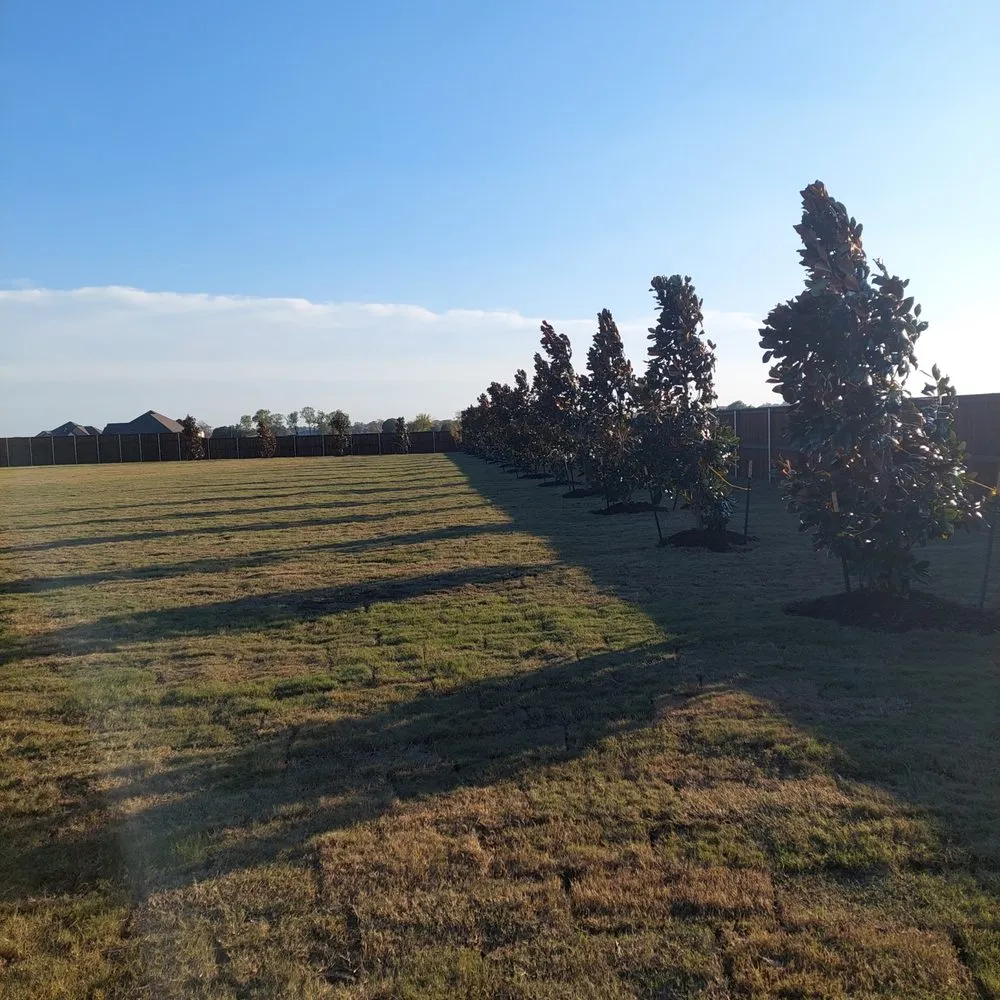 Affordable landscaping services experts serving Waxahachie, TX - M&J Lawn Care & Landscaping