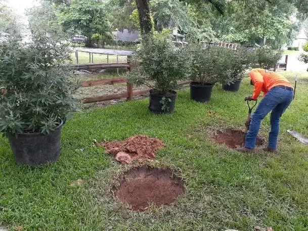 Reliable lawn care service in Waxahachie, TX by M&J Lawn Care & Landscaping