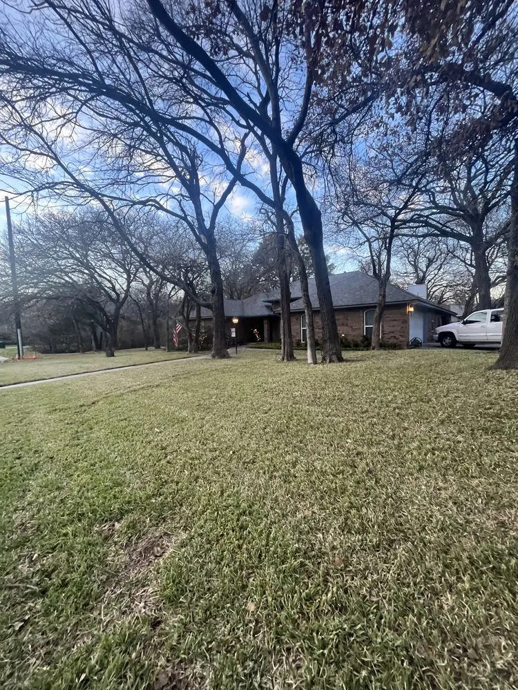Professional landscaping services experts serving Garland, TX - MJ Lawn Care and Gutter Service