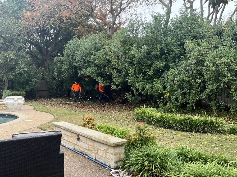 Top-rated outdoor landscaping with custom design across Garland, TX - MJ Lawn Care and Gutter Service
