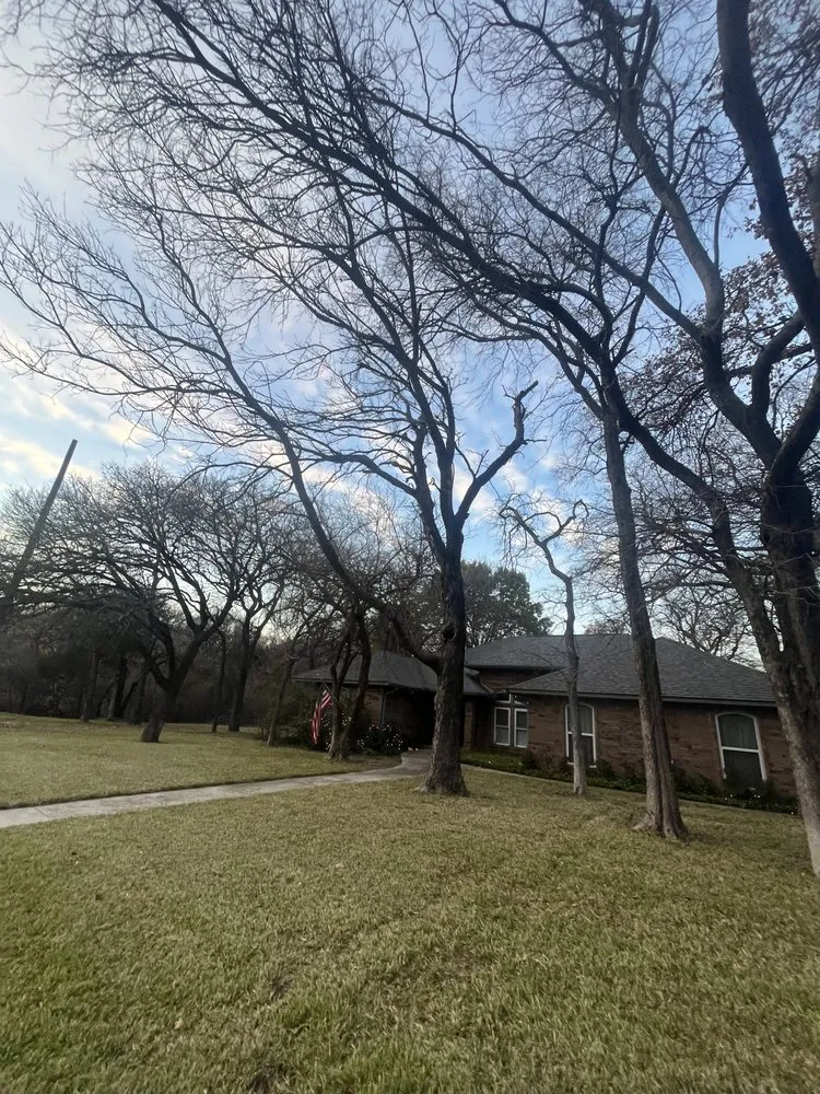 Trusted yard maintenance for outdoor upgrades in Garland, TX by MJ Lawn Care and Gutter Service
