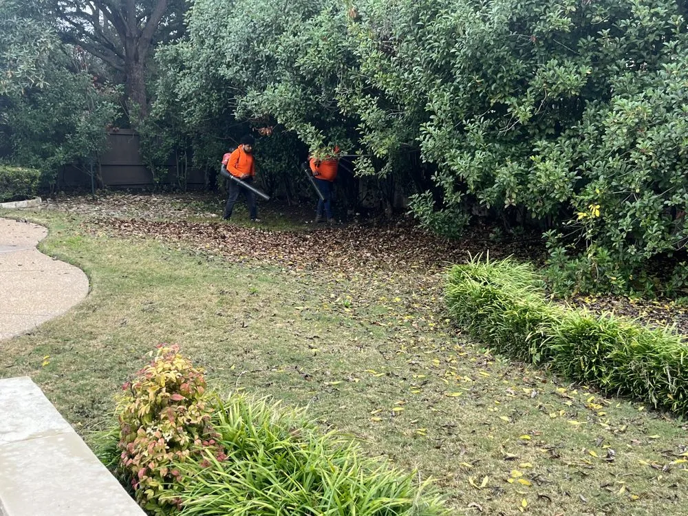 Professional yard cleanup service experts serving Garland, TX - MJ Lawn Care and Gutter Service
