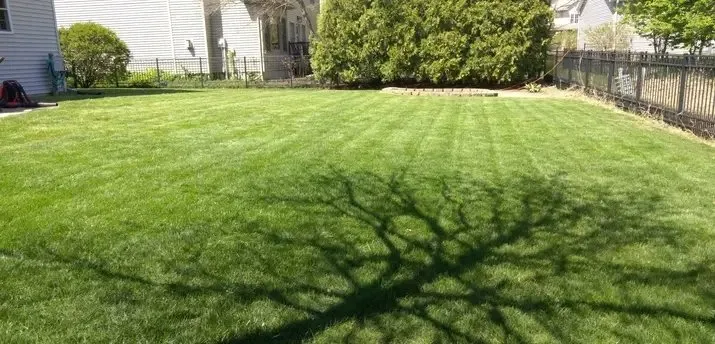 Expert landscape installation experts serving Bloomington, IL - MJ Lawn Care And Landscape