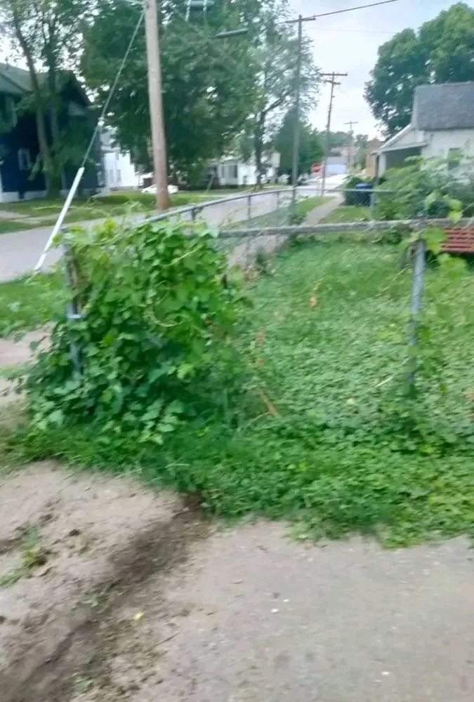 Expert lawn mowing service in Bloomington, IL - MJ Lawn Care And Landscape