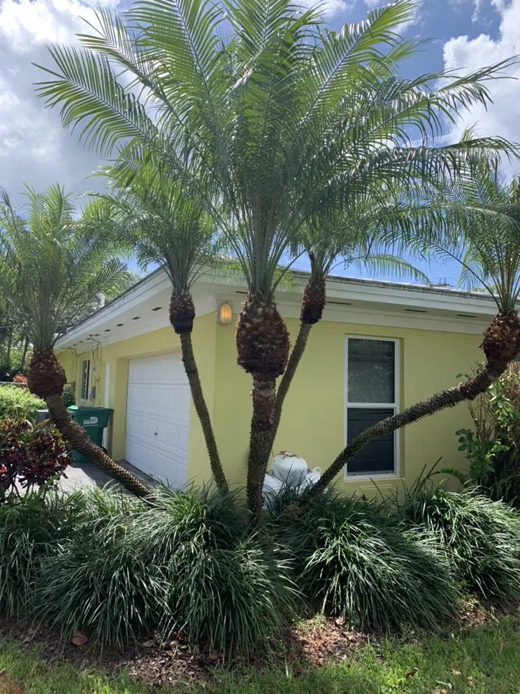 Professional lawn mowing service for residential properties across Miami, FL - MJ Lawn Care