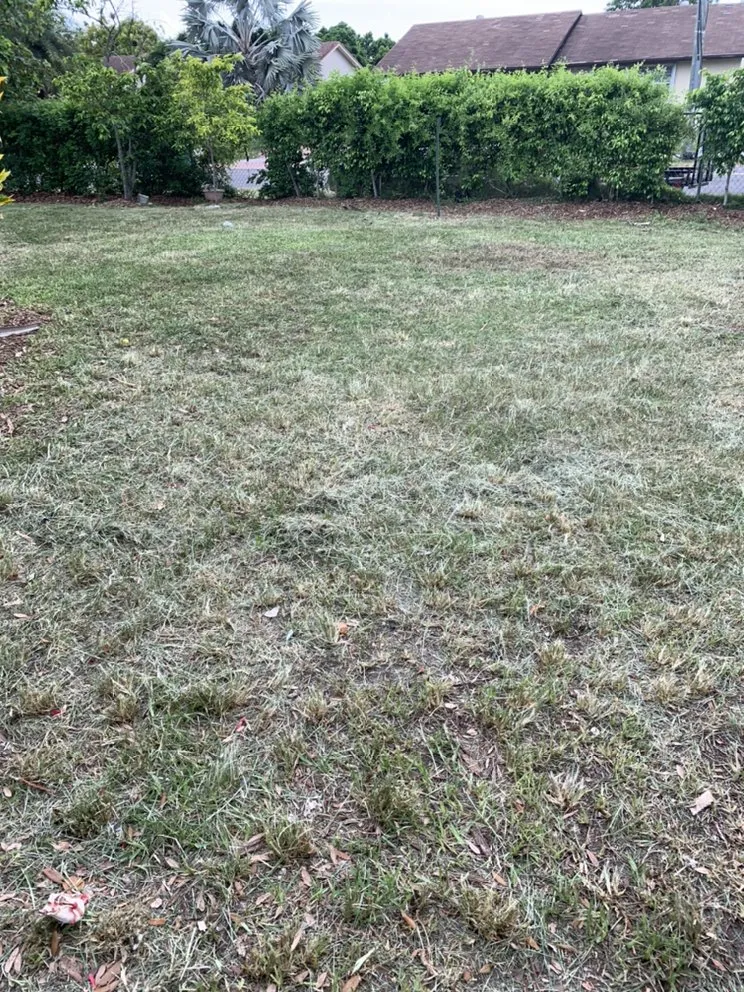 Professional outdoor landscaping for year-round maintenance across Miami, FL - MJ Lawn Care