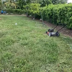 Reliable yard cleanup service experts serving Miami, FL - MJ Lawn Care
