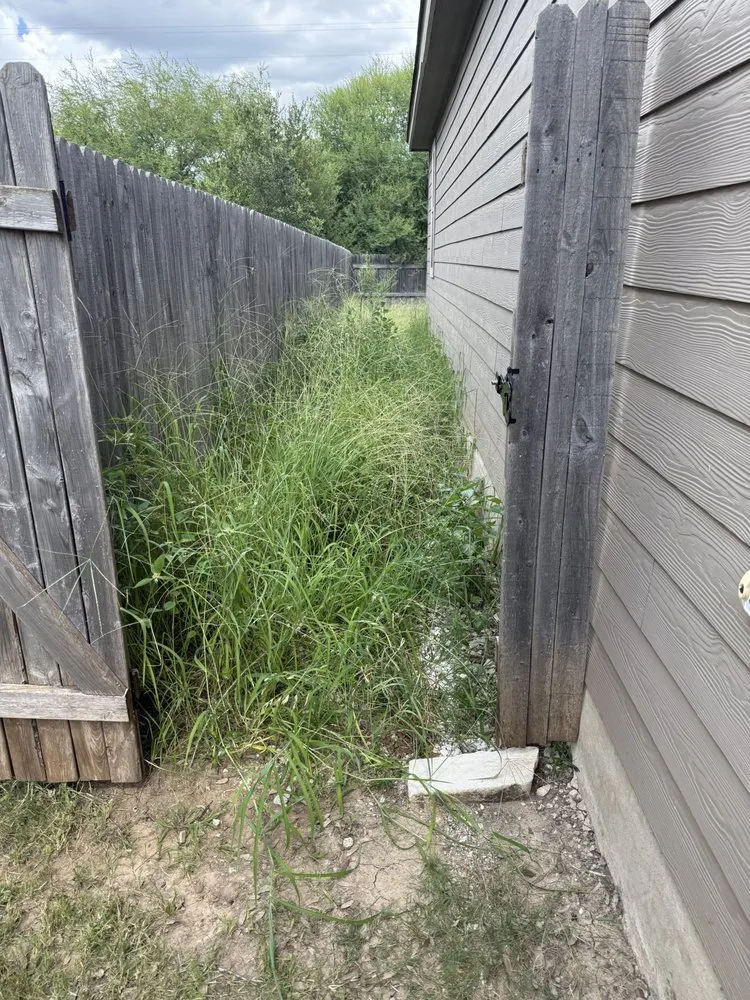 Top-rated lawn care service experts serving San Antonio, TX - MJ Lawn Care