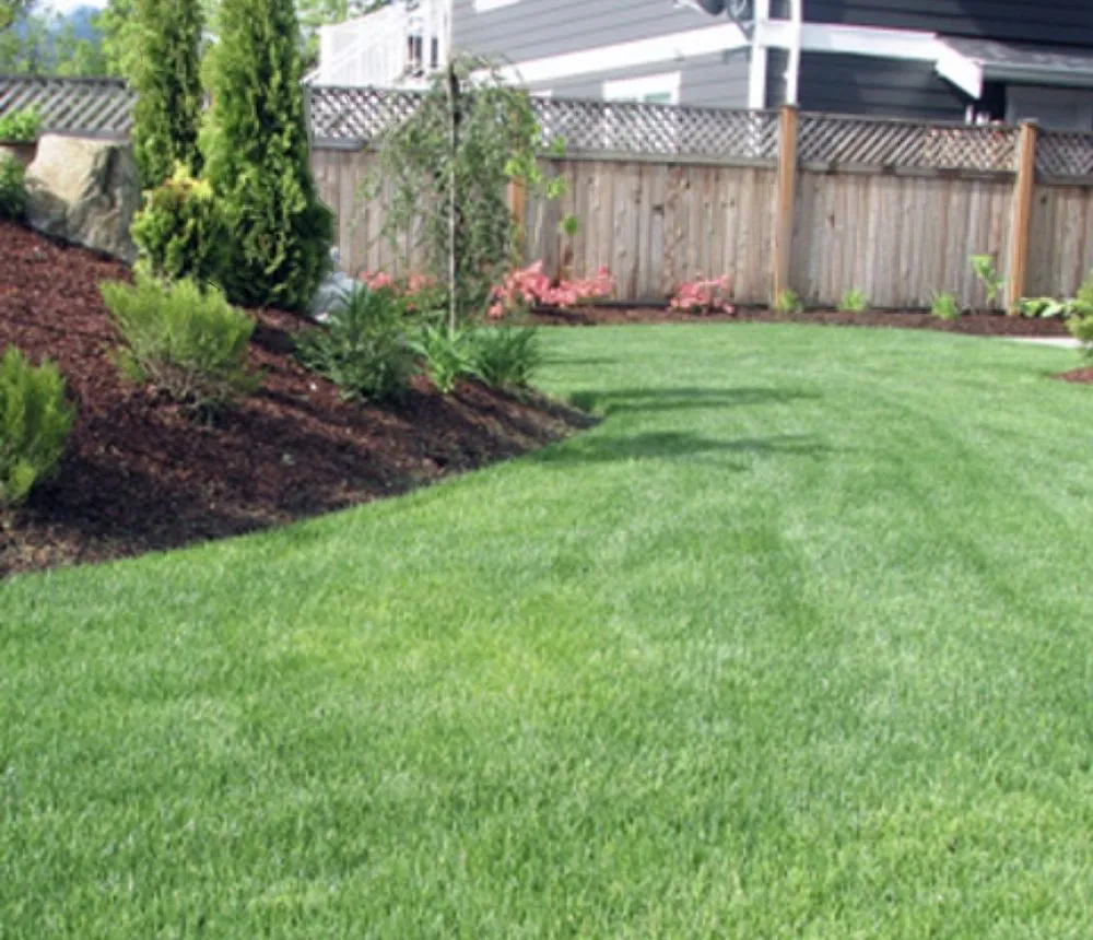 Professional yard cleanup service experts serving Winston-Salem, NC - MJ Lawn Mowing