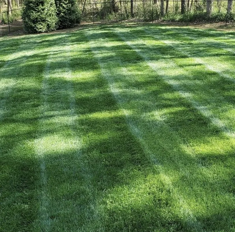 Professional landscape design experts serving Winston-Salem, NC - MJ Lawn Mowing