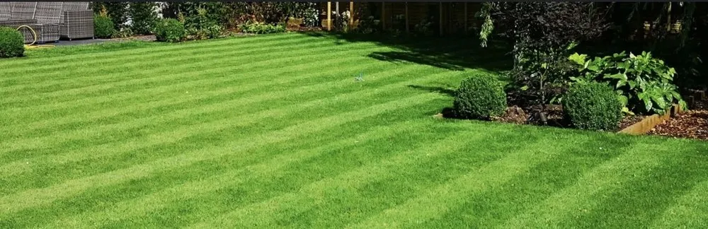 Custom landscape design experts serving Winston-Salem, NC - MJ Lawn Mowing