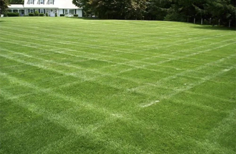 Top-rated landscaping services for homes in Winston-Salem, NC by MJ Lawn Mowing