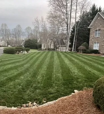 MJ Lawn Mowing Logo