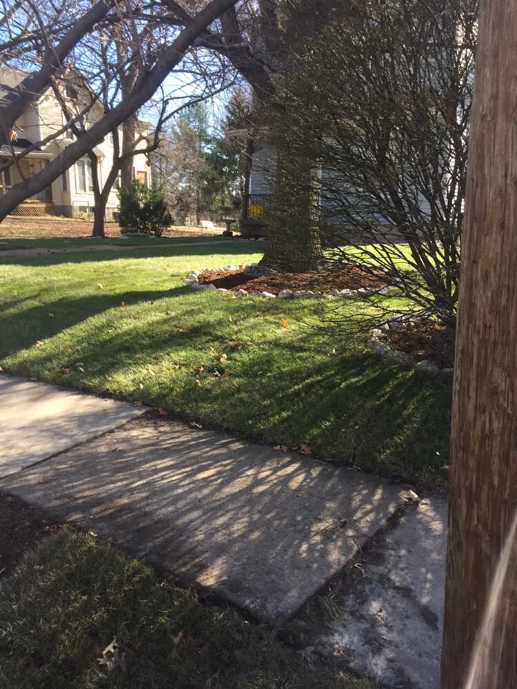 Custom yard cleanup service for homes in Saint Louis, MO by MJ Lawn