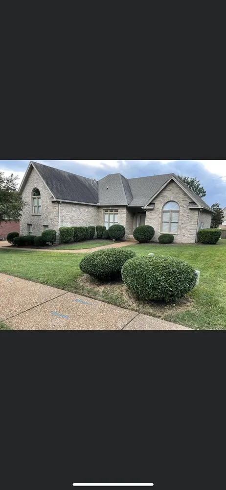 Top-rated lawn care service in Thomasville, NC - M&J lawn service