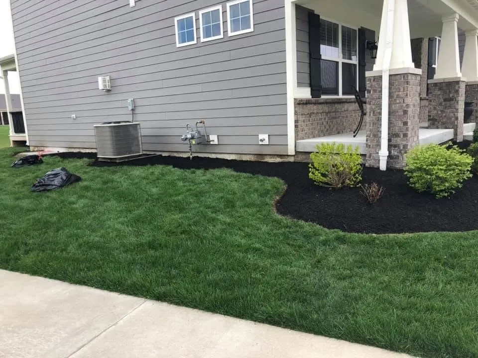 Affordable yard cleanup service in Beech Grove, IN - MJ Lawncare