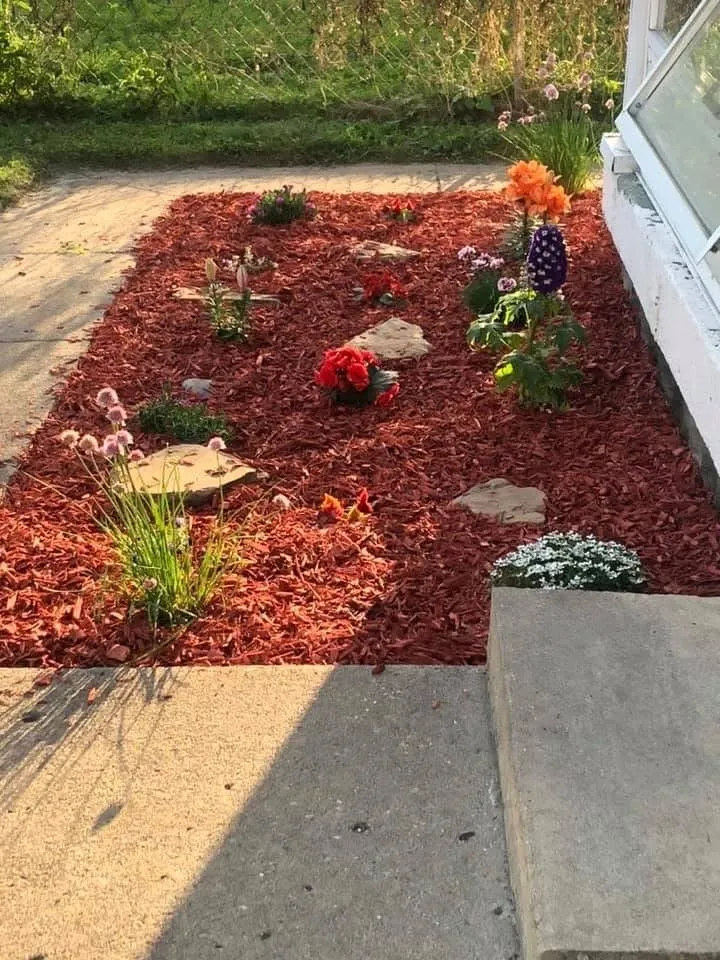 Expert yard cleanup service near you in Beech Grove, IN by MJ Lawncare