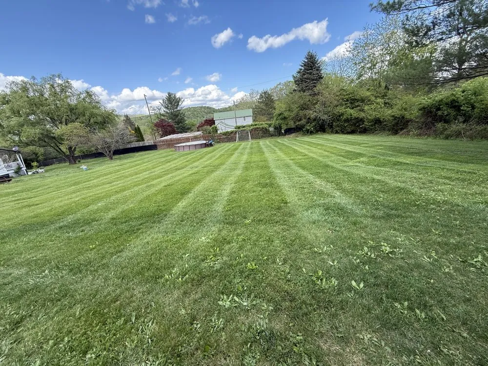 Trusted landscaping services experts serving Dublin, VA - M&J Lawns