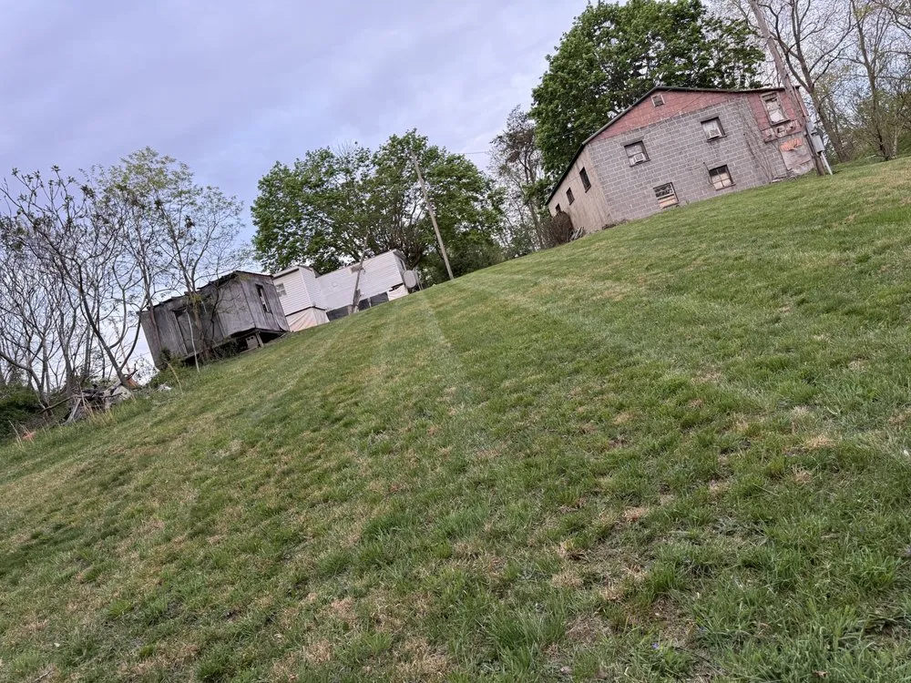 Reliable yard cleanup service experts serving Dublin, VA - M&J Lawns