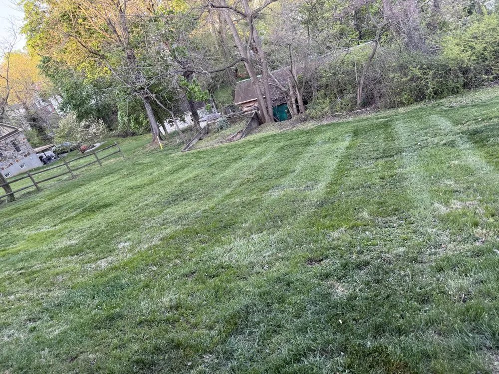 Reliable yard maintenance for year-round maintenance in Dublin, VA by M&J Lawns