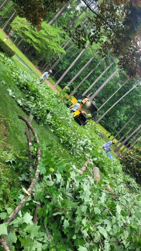 Reliable lawn mowing service in Triangle, VA - MJ Navarro Landscaping