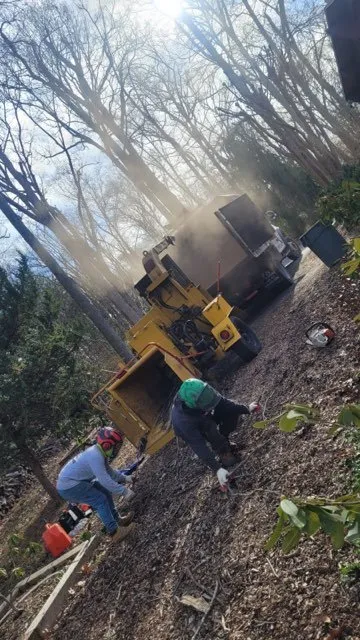 Trusted landscape design in Triangle, VA by MJ Navarro Landscaping