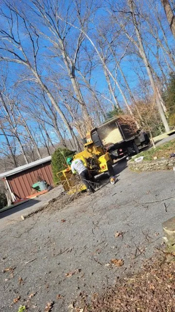 Affordable lawn care service in Triangle, VA by MJ Navarro Landscaping