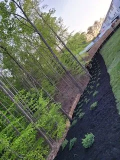 Top-rated landscaping services for homes across Triangle, VA - MJ Navarro Landscaping