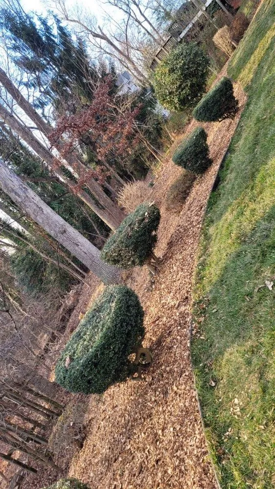 Affordable landscape installation experts serving Triangle, VA - MJ Navarro Landscaping