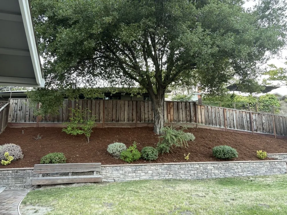 Professional landscape design in Richmond, CA - M&J Prime Builders