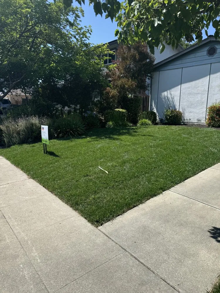 Top-rated garden landscaping in Richmond, CA by M&J Prime Builders