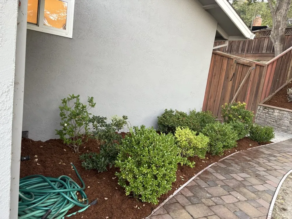 Expert outdoor landscaping in Richmond, CA - M&J Prime Builders