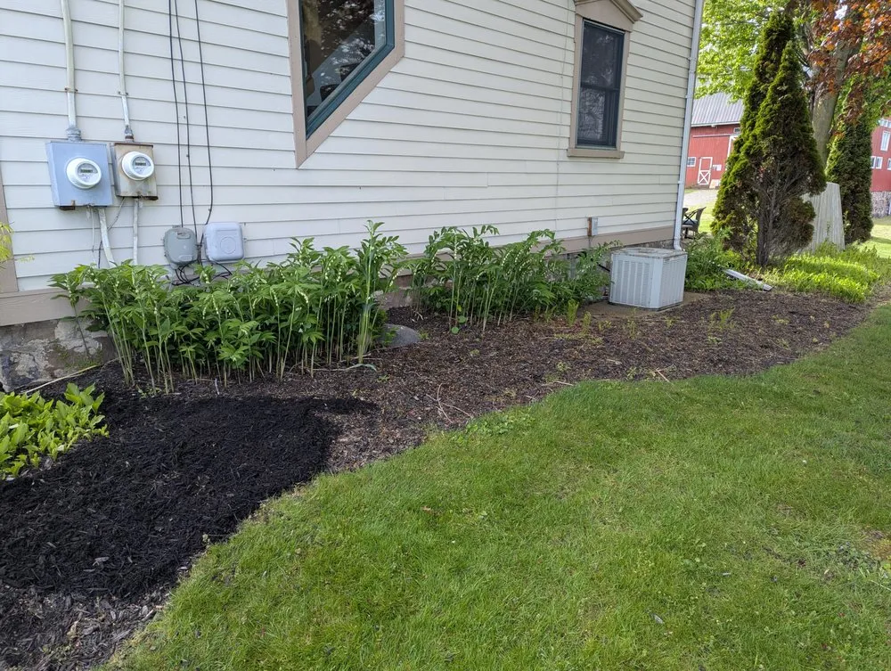 Top-rated residential landscaping for year-round maintenance in Macedon, NY by M&J Property Management