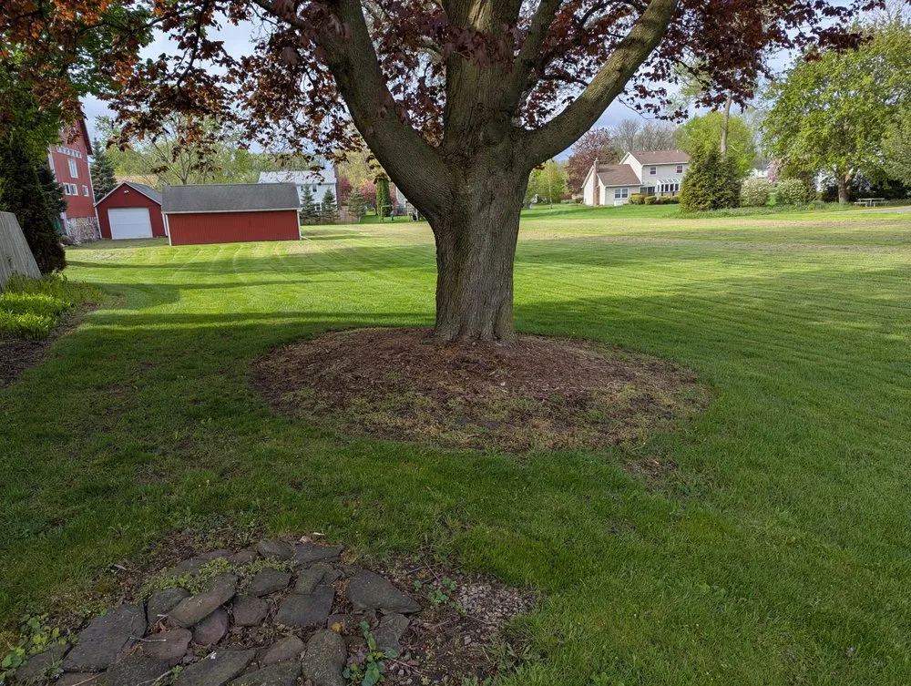 Reliable lawn care service experts serving Macedon, NY - M&J Property Management