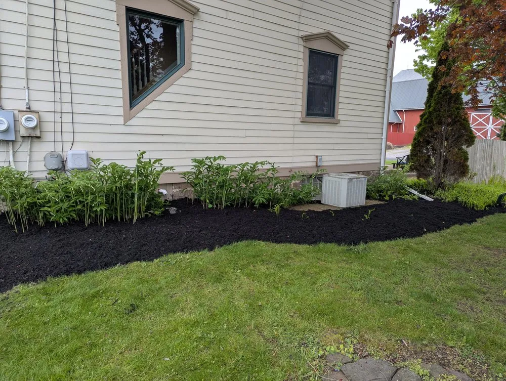 Affordable yard maintenance experts serving Macedon, NY - M&J Property Management