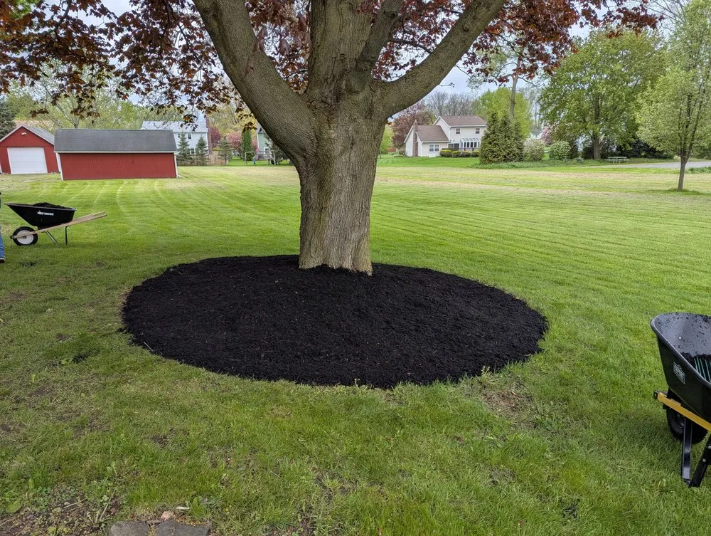 Affordable yard cleanup service in Macedon, NY - M&J Property Management