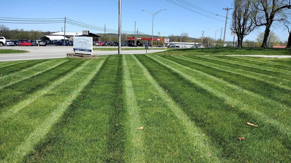 Local yard maintenance in Westland, MI by Mj property services