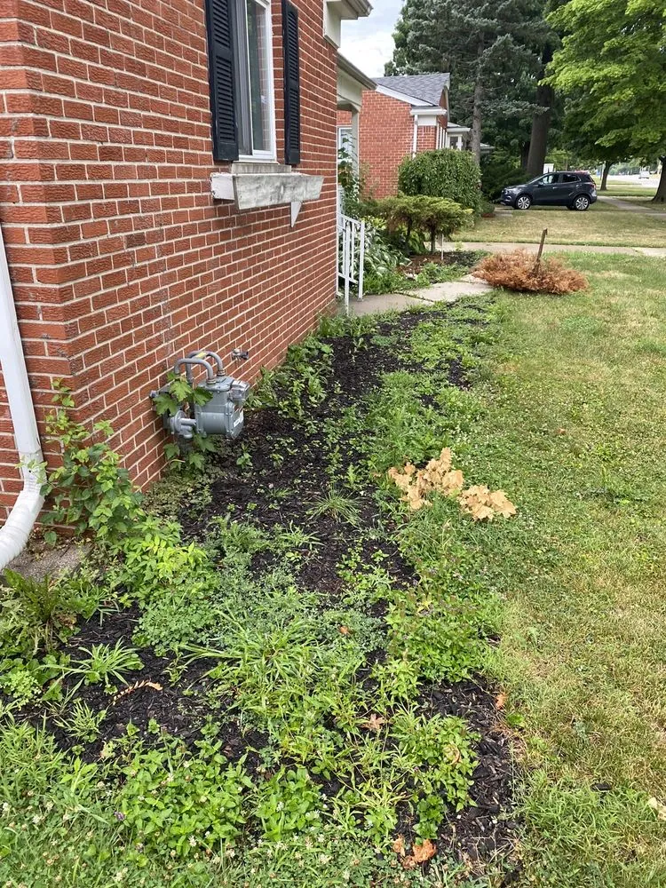 Top-rated lawn care service experts serving Westland, MI - Mj property services