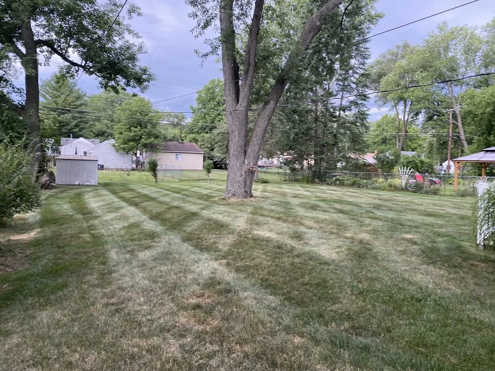 Affordable lawn care service for year-round maintenance in Westland, MI by Mj property services