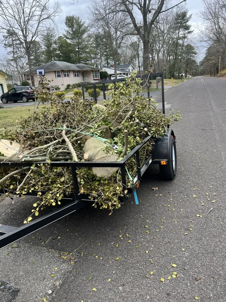 Trusted landscape design in Bridgeton, NJ by M&J Reliable Junk Removal