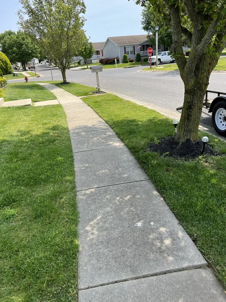 Expert landscape installation experts serving Bridgeton, NJ - M&J Reliable Junk Removal