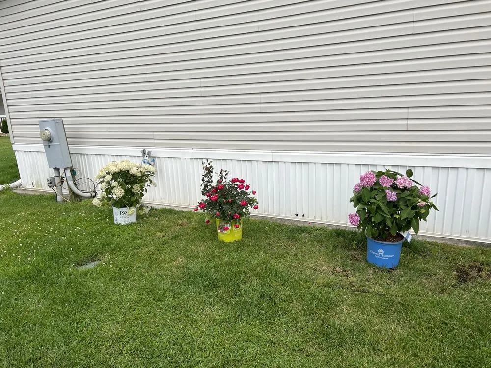 Top-rated lawn mowing service for residential properties across Bridgeton, NJ - M&J Reliable Junk Removal